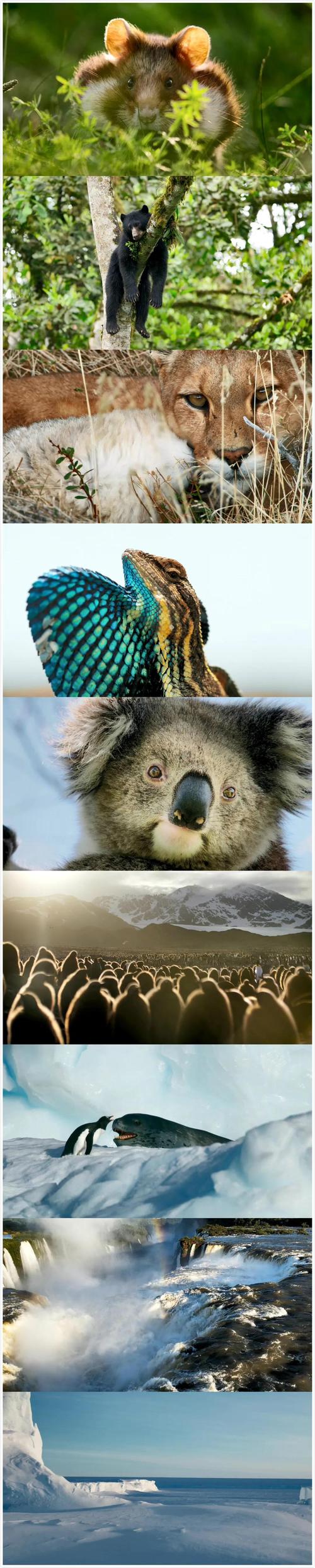 这可能是中国首部关于“互联网+”的纪录片,看完你会知道什么叫“互联网+”+