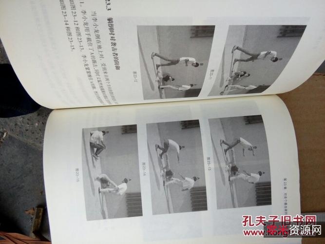 以武论道：李小龙的功夫心法（凝集一代功夫之王毕生武学精要）