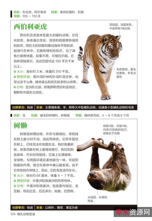 《全世界450多种哺乳动物的彩se+tu鉴+恐龙大百科》5本PDF格式