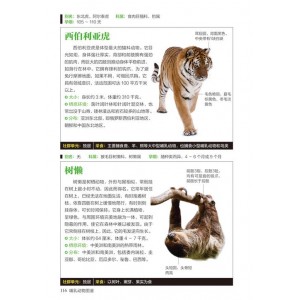 《全世界450多种哺乳动物的彩se+tu鉴+恐龙大百科》5本PDF格式