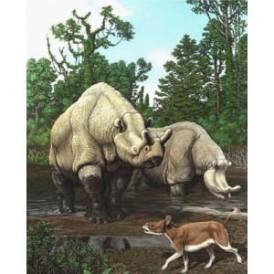 《全世界450多种哺乳动物的彩se+tu鉴+恐龙大百科》5本PDF格式