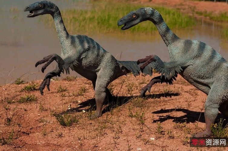 《全世界450多种哺乳动物的彩se+tu鉴+恐龙大百科》5本PDF格式