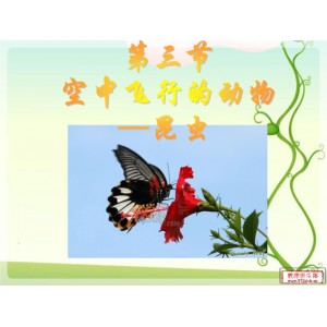 《中国昆虫生态大图鉴+初级观赏动物饲养工培训考试教程》5本PDF格式动物相关类电子书