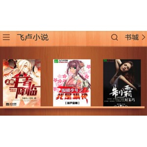 飞卢小说+校对版全本