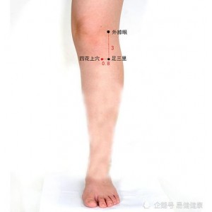 我又来分享【绝版】【独家】的珍贵中医书了，学医的看到不存>错过拍大腿！！！不学医的，帮学医的朋友存上，他绝对感谢你！！！