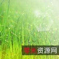 11月8日最新版「腾讯QQ正式版绿色纯净版.exe」让聊天更轻松!