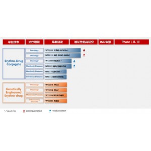 极速下载！【Idm_2021+V6.39.8+永久激活最新版】以突破性的下载加速优势，获得了广大用户的一致好评！