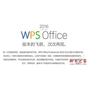 WPS内购版++已激活