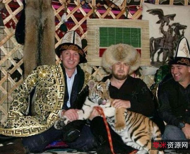 60T合集分享：从港台剧到美食纪录片，重温童年经典，探索梦魇绝镇，了解强人普京，回顾大帝纪录片，全国吃货今夜不设防！