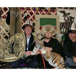 60T合集分享：从港台剧到美食纪录片，重温童年经典，探索梦魇绝镇，了解强人普京，回顾大帝纪录片，全国吃货今夜不设防！