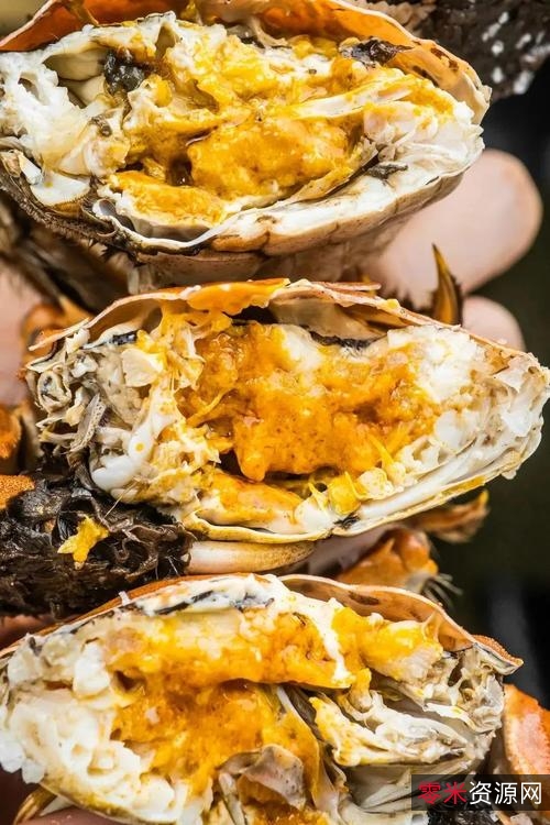 阿里云推出!黄金屋黑蟹行动儿女一箩筐3,赢取大量奖励!