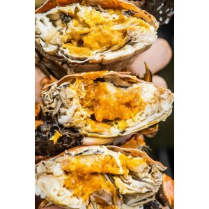 阿里云推出！黄金屋黑蟹行动儿女一箩筐3，赢取大量奖励！