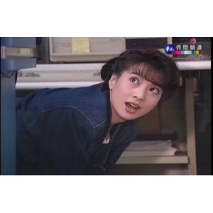 收藏经典：《家有仙妻》孙兴版全集