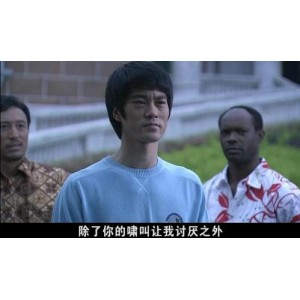 《陈国坤执导的李小龙传奇：4K超清50集最受观众喜爱电视剧》