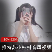 《苏小柠：抖音网红的精彩视频分享》