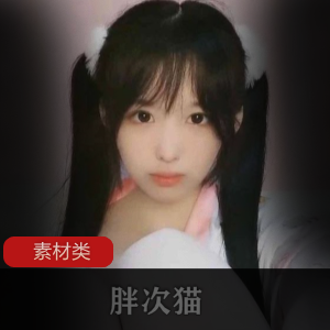 小奶猫软萌妹子胖次猫合集主播猫系列
