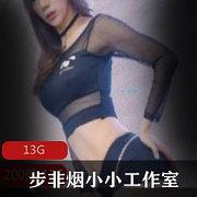 步非烟A失眠R第二集小小工作室合集：前车大灯女神资源生财之道单音频视频身材颜值13G