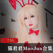 私房兔子视频合集