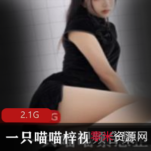 推荐pr社喵喵梓和服写真黑丝视频合集