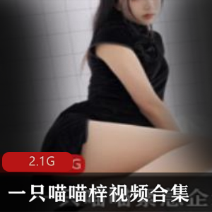 推荐pr社喵喵梓和服写真黑丝视频合集