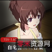 自宅警備員合集（第一部1-4两个版本+第二部1-6）15V-1.6G