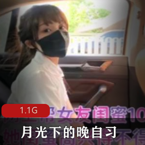 91大神：喵喵萌，1.1G资源，各种场景战斗
