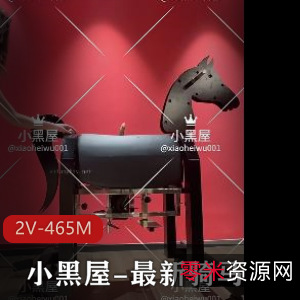 小黑屋：骑马抽C、女N、双女互T奇怪姿势，2V-465M，爆火全网，功率超大，新鲜出炉