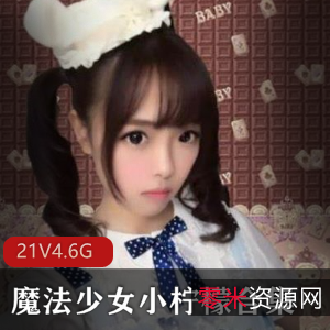 优质COSER魔法少女小柠檬视频展示21套4.6G