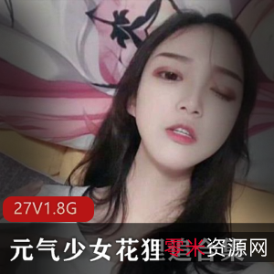 元气少女花狸追合集：完美身材cos直播资源王者虚拟人物假球贴甄姬