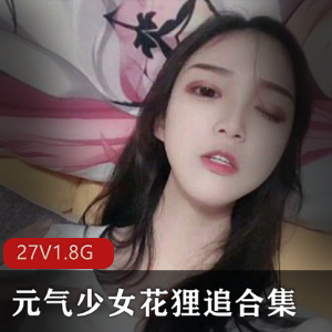 元气少女花狸追合集：完美身材cos直播资源王者虚拟人物假球贴甄姬