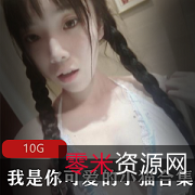 小猫妹子身材颜值大球，10G视频精选合集
