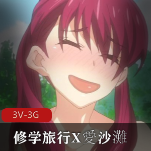 修学旅行X愛沙灘-1080AI解码[3V-3G]岛国出品，女主男主口B多人游