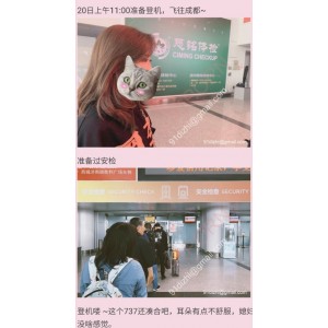 翘臀美女Vicky，东营圈友合拍，高清长图127P，1.15G