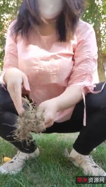 风情万种熟女柏欣彤广场舞合集：57g视频，百度ED2K收藏