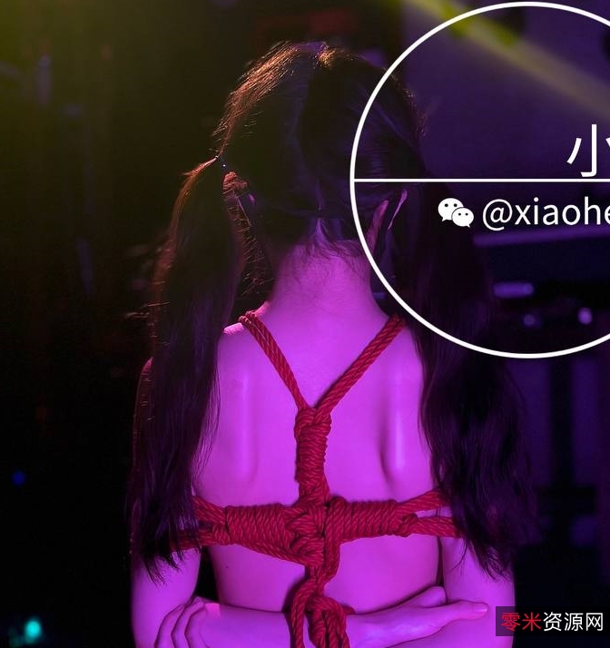 小黑屋推特福利8.2g：顶级指教大佬的新年收藏