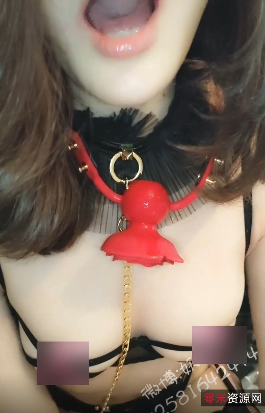 推特完具户外展示2V12.6G超感觉