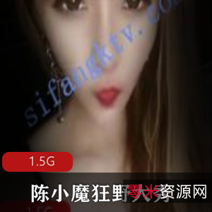 魔女陈小魔珍藏版合集舞蹈50部1.5G超绝