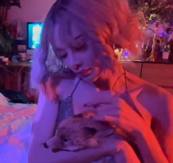 推特WitchyFox优质伪娘88部30G合集